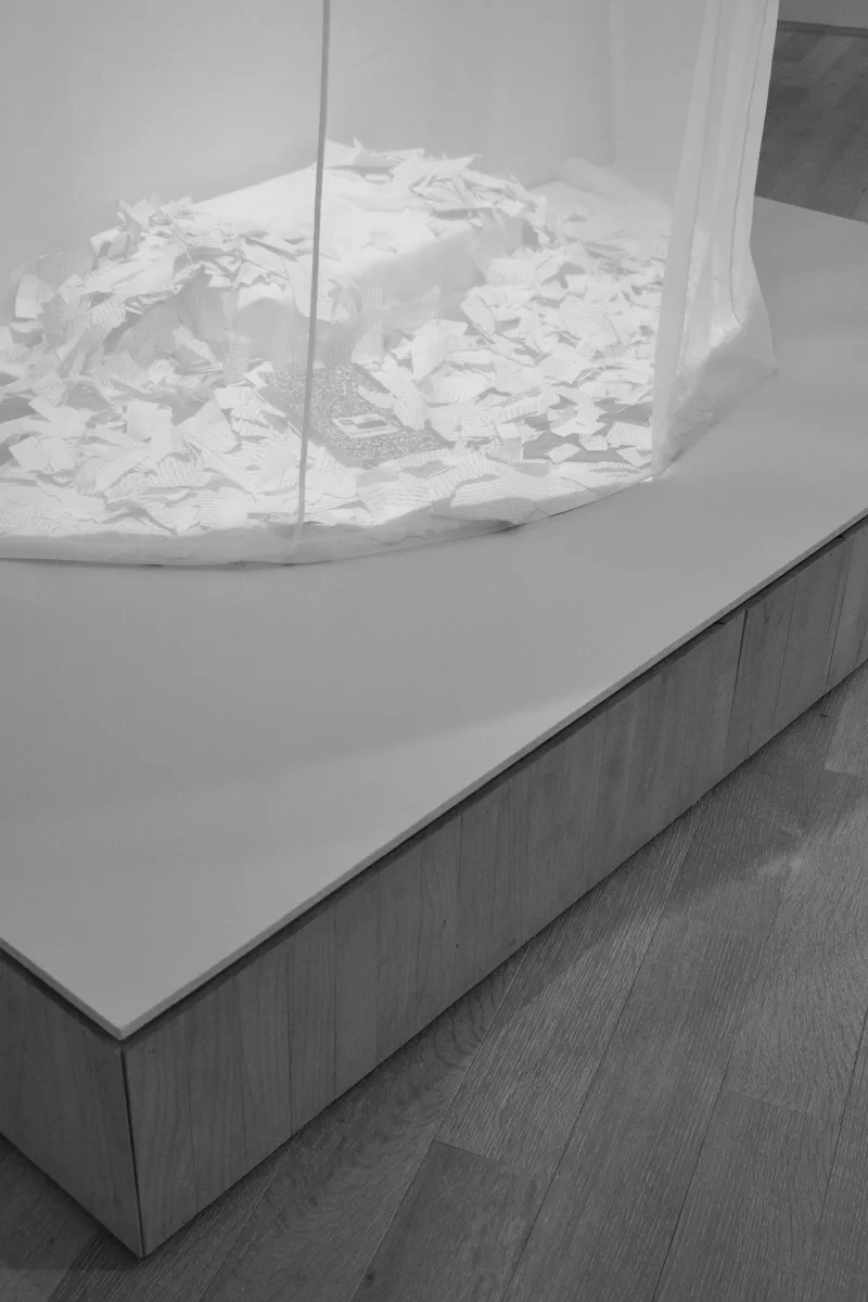 The media file [<nil>] is by CallahanFreet.