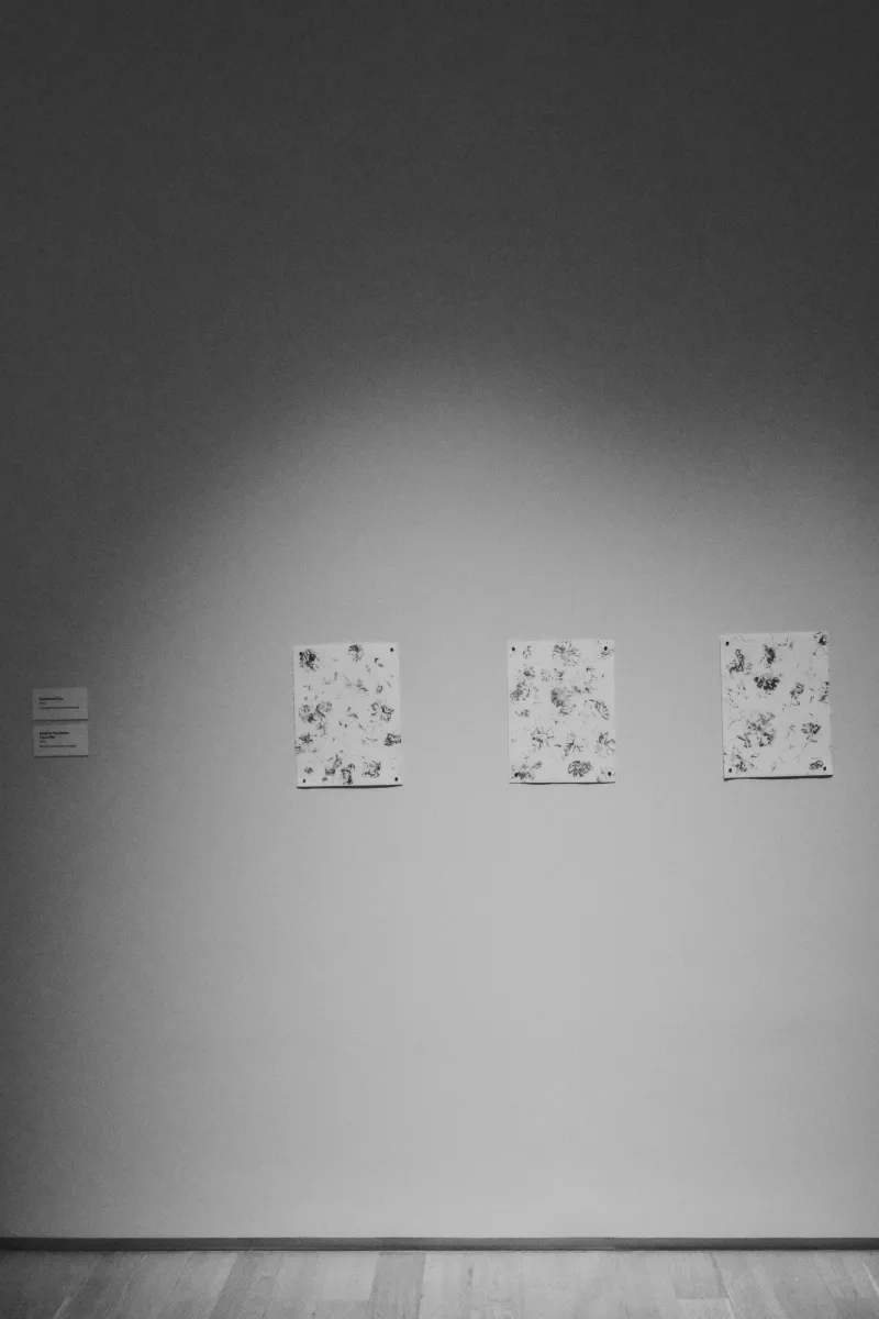 The media file [release.] is by CallahanFreet.