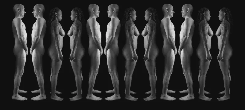 The media file [<nil>] is by CallahanFreet.